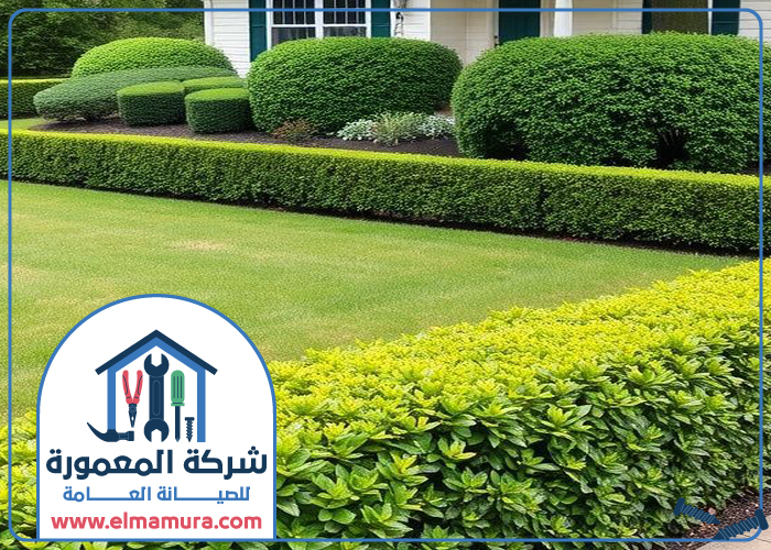 تنسيق حدائق في الشارقة 3 تنسيق حدائق في الشارقة