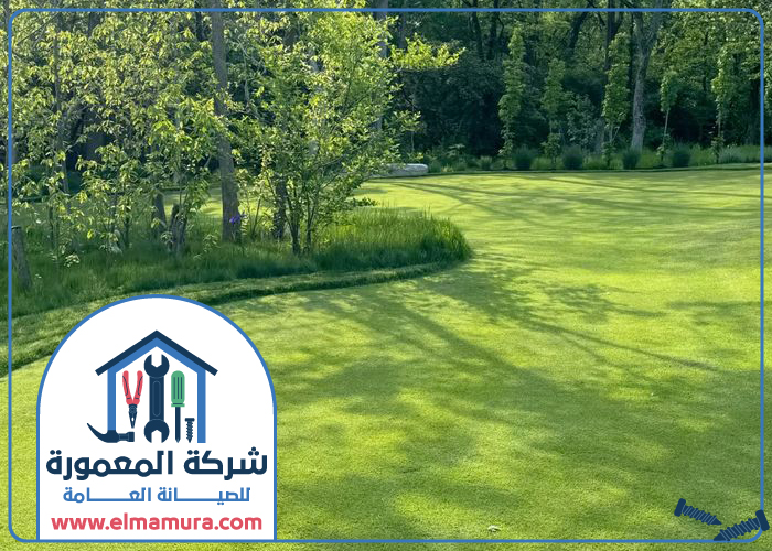 تنسيق حدائق في الشارقة 4 تنسيق حدائق في الشارقة