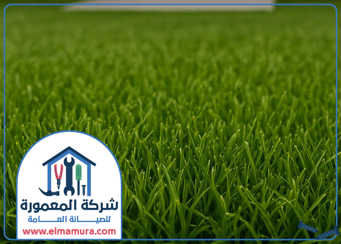 تركيب عشب في دبي 3 تركيب عشب في دبي