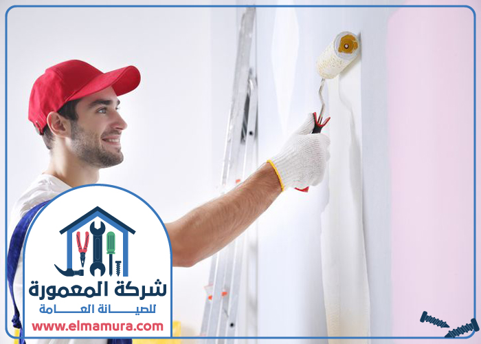 شركة صبغ