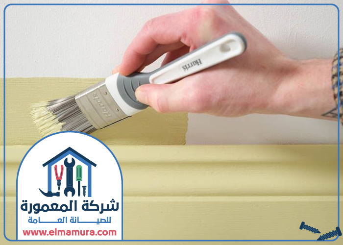 شركة صبغ في الفجيرة 4 شركة صبغ في الفجيرة